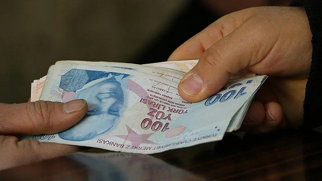 TC no son hanesini bilenler dikkat: Bakanlık açıkladı hemen hesaplarınıza bakın! Ödeme yatırılabilir
