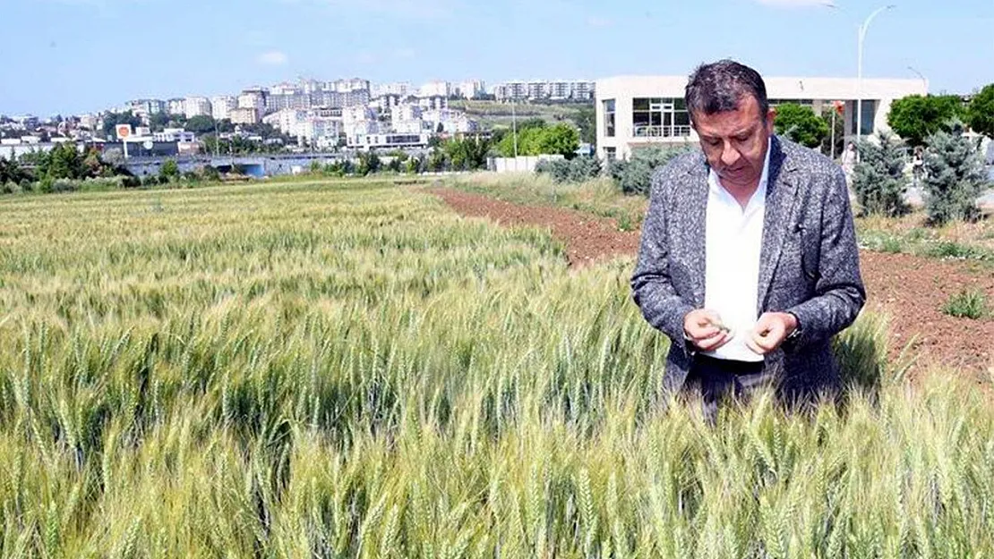 Vatandaş çaresiz! Geri sayım başladı! Doluluk seviyesinde korkutan oran: Yüzde 35'e düştü