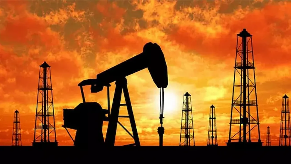 Petrol Fiyatlarında Düşüş Trendi: OPEC+ Kararları ve Çin Talebindeki Belirsizlikler