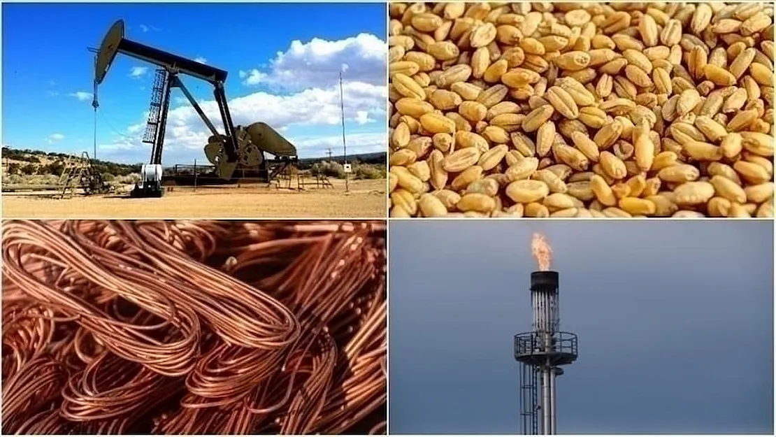 Enerji ve Tarım Sektörlerinde Dalgalanan Fiyatlar: Kazananlar ve Kaybedenlerin Detaylı Analizi