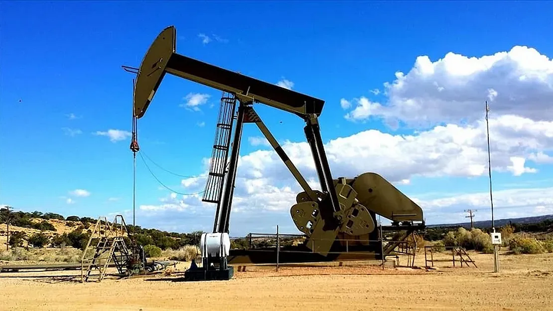 Ham petrol son 5 ayın en yüksek seviyelerini gördü