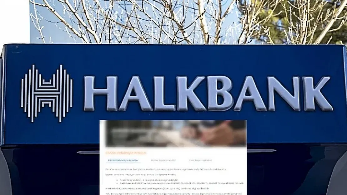 Halkbank'tan 48 Ay Vadeli 525.000 TL, 650.000 TL, 750.000 TL Destek Kredisi: Esnafa Dev Fırsat Kapıda!