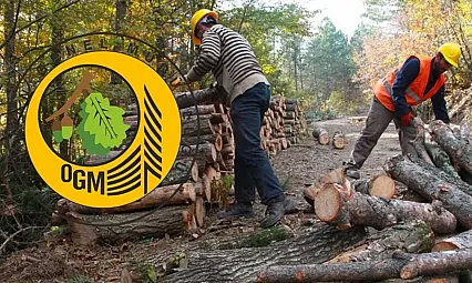 Orman Genel Müdürlüğü'nden 69 işçi alımı