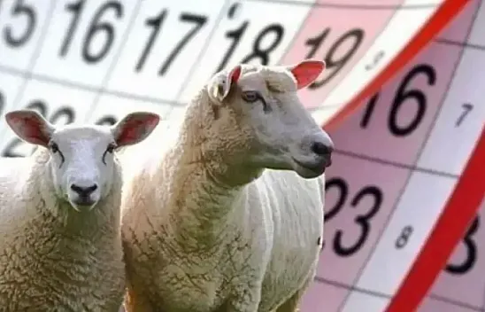 Bayram tatili 10 güne çıkarsa memur ve emekli zammı düşebilir!