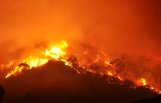 Türkiye alev alev: Çeşme ve Ödemiş'te orman yangınları büyüyor!