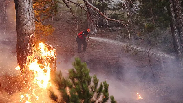 Antalya'da çıkan ikinci orman yangını kontrol altına alındı