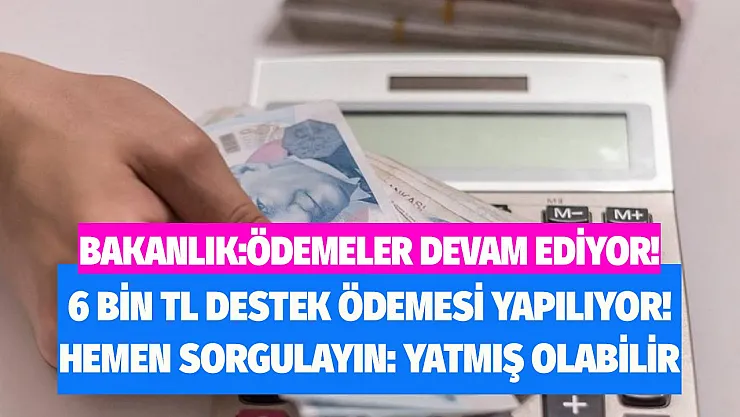 Bakanlık ödemelerin devam ettiğini açıkladı! İhtiyaç sahibi ailelere 6 bin TL destek ödemesi yatıyor: Hemen sorgulayın hesabınıza yatırılmış olabilir