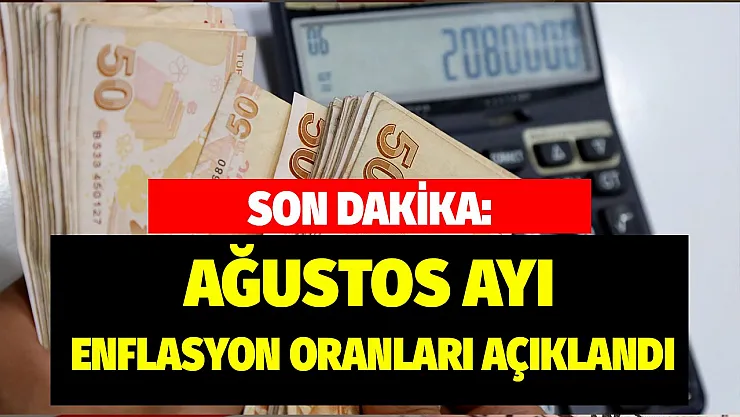 Son Dakika: TÜİK Ağustos ayı TEFE TÜFE enflasyon oranları açıklandı! Enflasyon oranı yüzde kaç oldu?