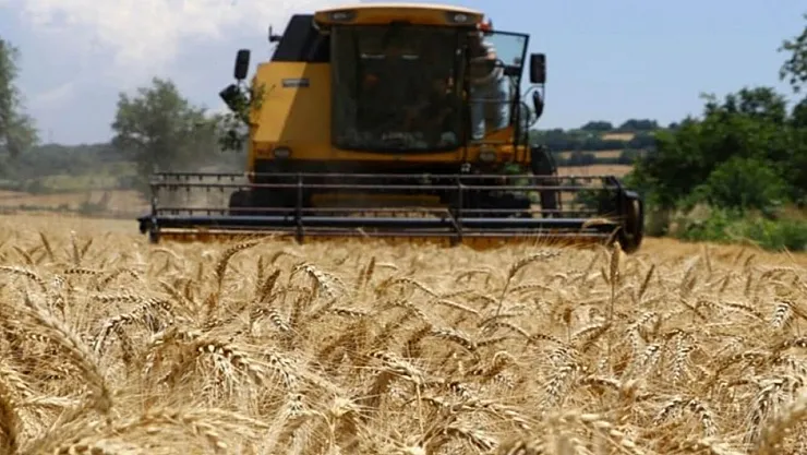 Gıda krizi büyüyor mu? Gıda fiyatları bir anda yükselebilir işte fiyatların yükseleceği tarih