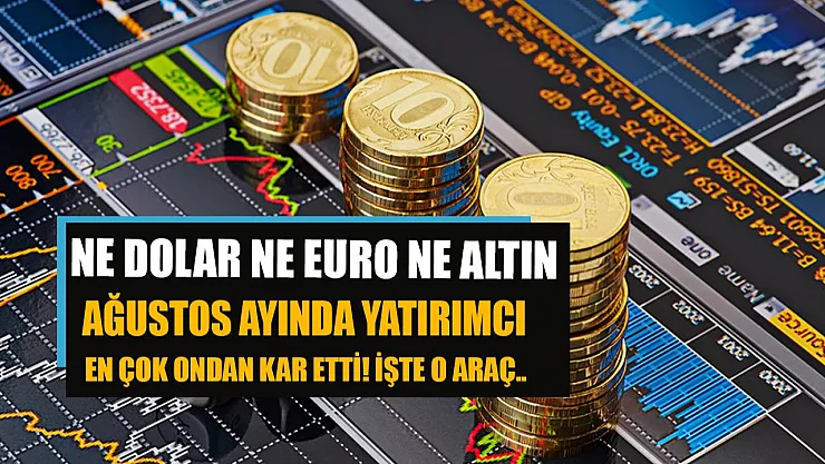 Ne dolar ne euro ne de altın! Ağustos ayında yatırımcı en çok ondan kâr etti!