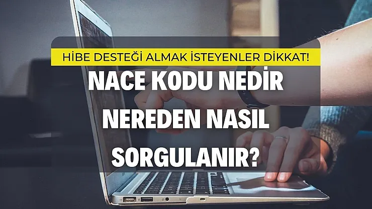 Hibe desteği almak isteyenler dikkat: NACE kodu nedir, nereden, nasıl sorgulanır?