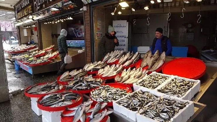 2022 Balık fiyatları ne kadar? Palamut hamsi çupra mercan levrek kaç TL?