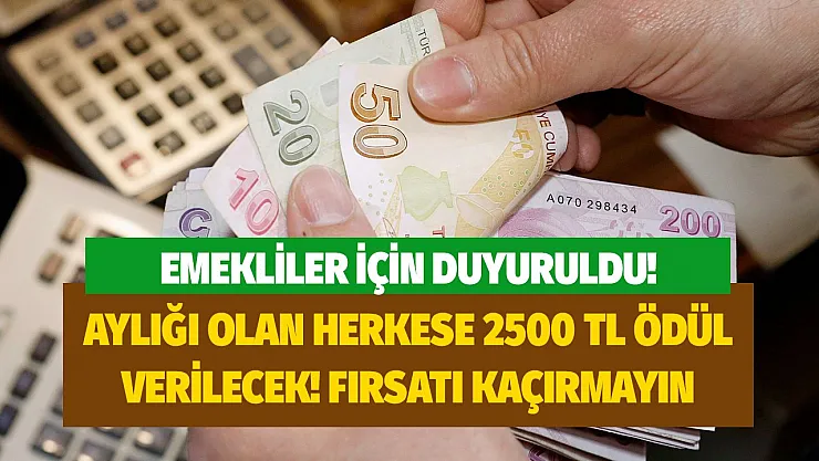 Emekli olan herkese 2500 TL veriliyor ödemeler ay sonuna kadar devam edecek bu fırsatı kaçırmayın