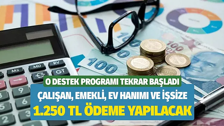 O destek programı tekrar başlatıldı! Başvuran çalışan, emekli, ev hanımı ve işsize bin 250 TL ödeme yapılacak