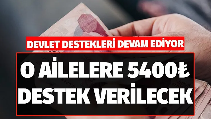 Devlet destekleri devam ediyor! O ailelere 5400 TL geri ödemesiz destek ödemeleri yapılacak