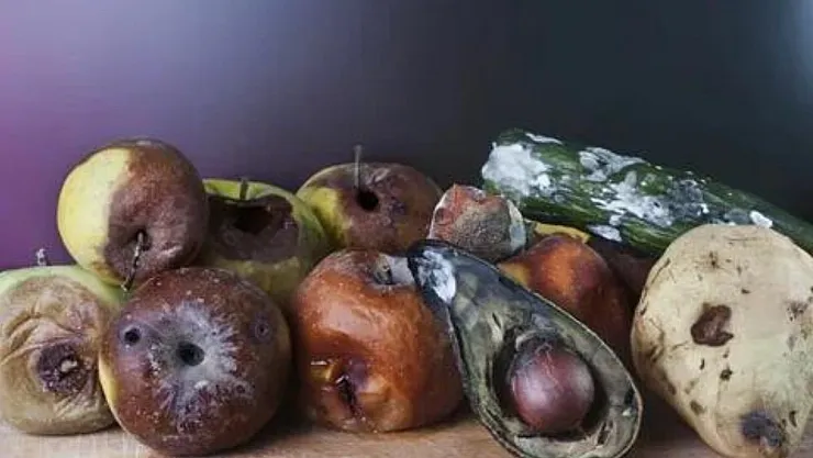 Gıda israfına son! Artık market alışverişine o kadar para harcamayın! Buzdolabının bilinmeyen sırrı