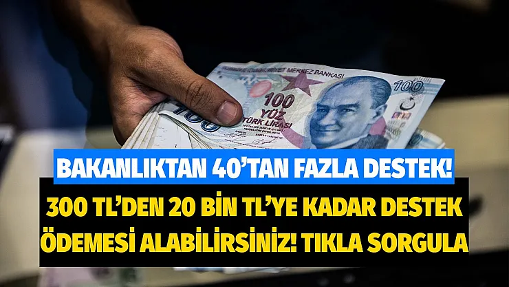 Aile ve Sosyal Hizmetler Bakanlığı 40'dan fazla yeni sosyal yardım paketini açıkladı! 300 TL'den 20 bin TL'ye kadar destek ödemesi alabilirsiniz tıkla sorgula