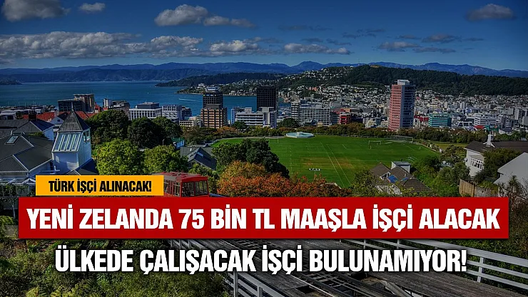 Yeni Zelanda 75 bin 100 TL maaşla Türk işçi alımı yapacak! İşte şartlar, nasıl gidilir, başvurular
