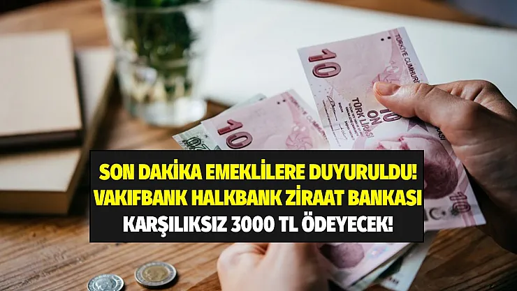 Vakıfbank Halkbank Ziraat Bankası 12 milyon emekliye 3 bin TL karşılıksız ödeme yapacak