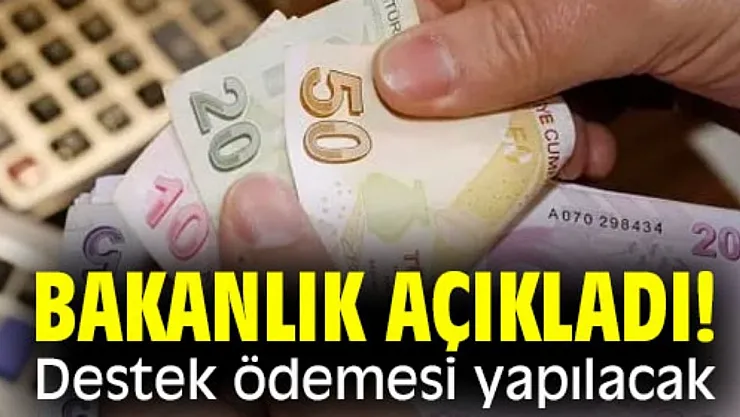 Bakanlık başvuru yapan o kişilerin hesabına anında 600 TL yatırıyor! Ödemeler başladı