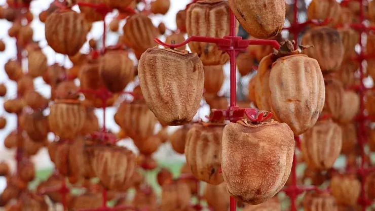 Sindirim sisteminiz bayram edecek! Yoğurtla karıştırınca etkisi inanılmaz!