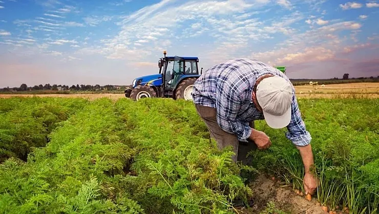 Tarım ve Orman Bakanlığı açıkladı! Modern sulama sistemlerinde hibe desteği