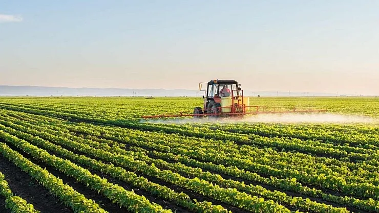 TÜİK verileri açıkladı! 2022 Kasım ayı Tarım ürünleri üretici fiyat endeksi yüzde 169,45 arttı