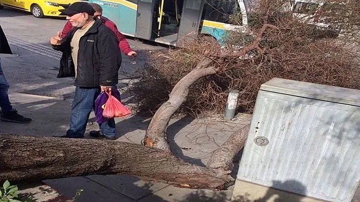 Emsal niteliğinde karar! Dava açan vatandaşa 40 bin TL tazminat ödenecek