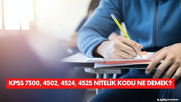KPSS 7300, 4502, 4524, 4525 nitelik kodu ne demek?
