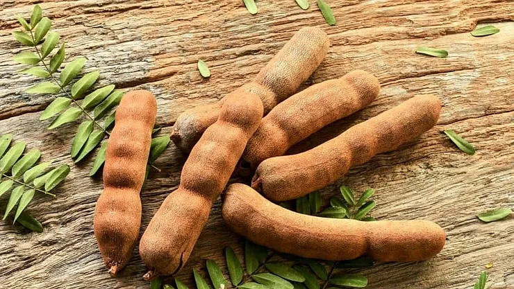 Ülkemizde yetişen o meyvenin faydaları bilinmiyor! Vitamin deposu meyvenin adını duyan şaşıp kalıyor