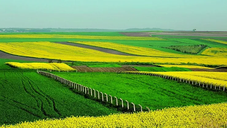 Balıkesir'de arsa sahibi olmak isteyenler dikkat! Susurluk Belediyesi arsa satışı ilanları yayımladı