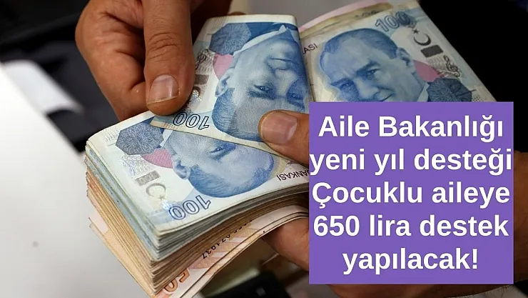 Aile Bakanlığı'ndan yeni yılda dev destek! Çocuğu olan ailelere 650 liraya kadar ödeme yapılacak