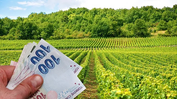 Yıllık faiz oranı ile çiftçi kredisi hesaplama nasıl yapılır? 9,75 faizle çiftçi kredisi ne kadar?