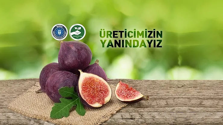 En az ilkokul mezunu 70 işçi alınacak!