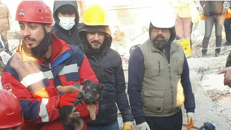 Enkaz altında yaşam mücadelesi veren köpek ve yavruları da tam 124 saat kurtarıldı!