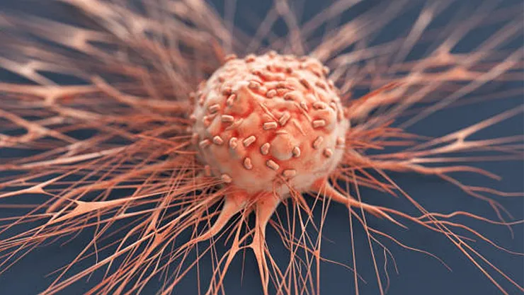 Kanserle mücadelede önemli keşif! Bu bulgu milyonları kurtaracak