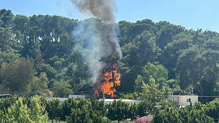 SON DAKİKA! Antalya'da orman yangını başladı! Dumanlar yükseliyor, alevler yayılıyor!