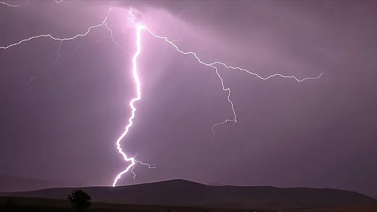 Son dakika! Tarlaya yıldırım düştü: Hayatını kaybedenler var