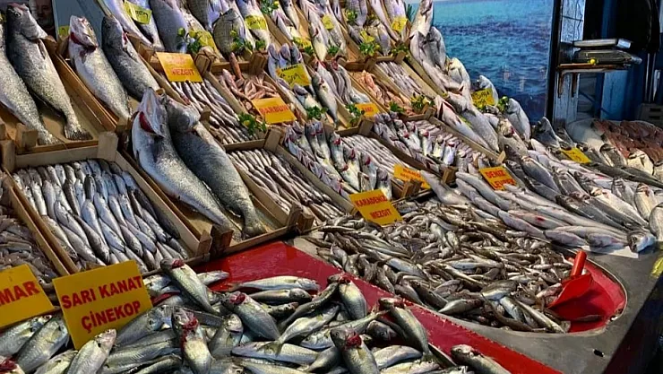 Balık Tezgahlarında Sonbahar Bolluğu