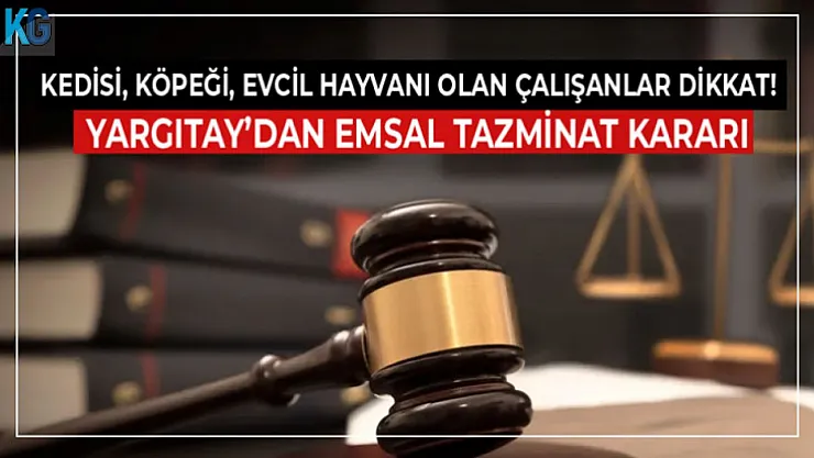 Kedisi, Köpeği, Evcil Hayvanı Olan Çalışanlar Dikkat! Yargıtay'dan Emsal Tazminat Kararı