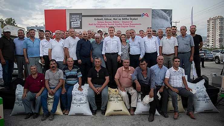 Mersin'in Değişen Yüzü: Büyükşehir Yasası'nın Tarıma ve Yerel Yönetimlere Etkileri