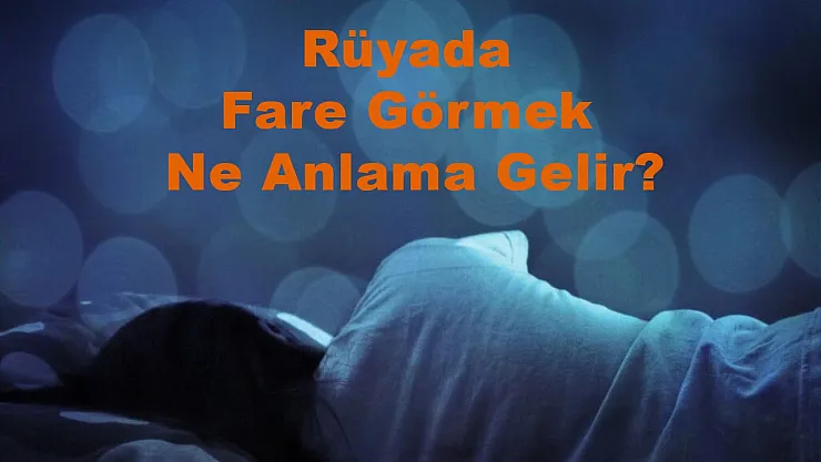 Rüyada Fare Görmek Ne Anlama Gelir?