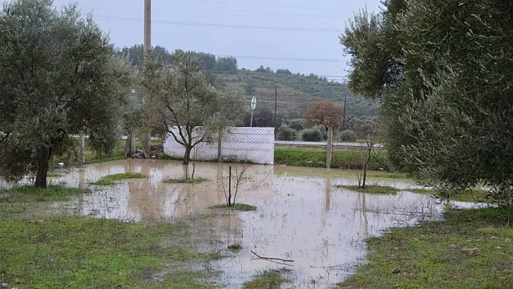 Akbelen Ormanı'nın Yok Oluşunun Ardından Gelen Felaket: Yağışlar Sele Dönüştü