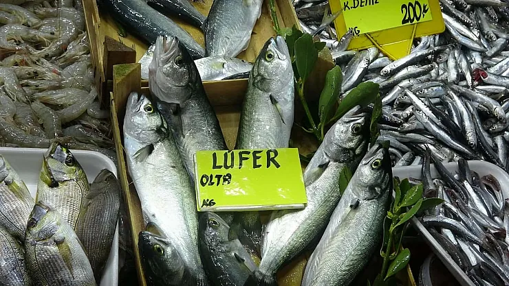Balık Fiyatları Uçtu: Lüfer 900 TL'ye Satılıyor!