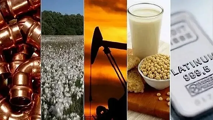 Emtia Piyasalarında Rüzgar Nasıl Esti? Kazananlar ve Kaybedenlerin Detaylı Analizi