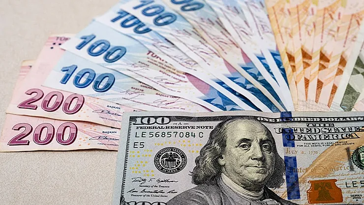 Türk Lirası Karşısındaki Döviz Kurlarında Son Durum! ABD Dolar Kuru 33,6085 TL Oldu!
