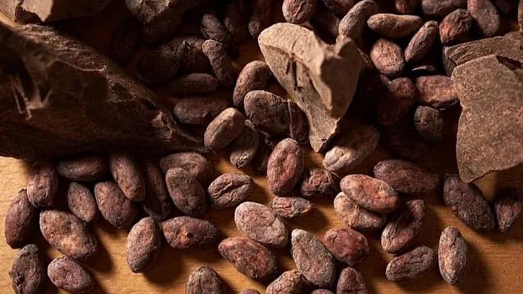 Kakao Vadeli İşlemleri Rekor Kırıyor: Fildişi Sahili ve Gana'da Üretim Darboğazı