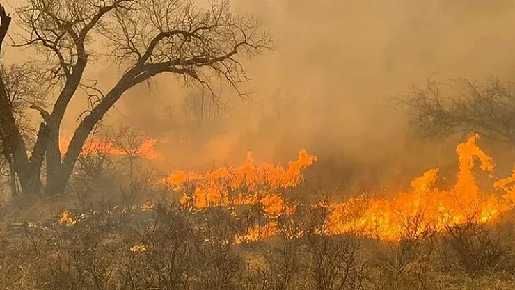 Çok büyük yangın başladı! Rüzgar ile daha da büyüyor: Tam tamına 58 noktada başladı