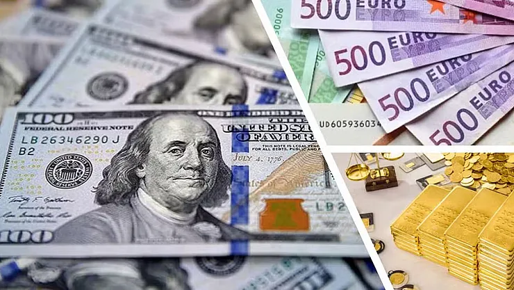 ABD Doları, Euro ve Altın TL karşısında tüm zamanların rekorunu kırdı!