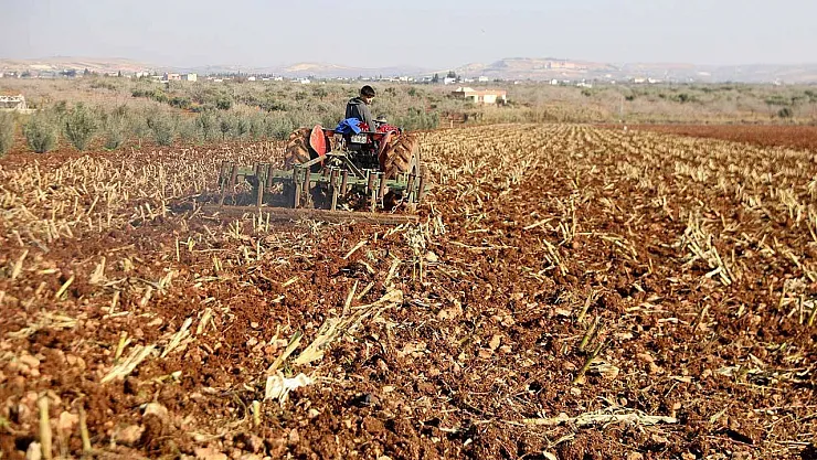 AKP'nin Çiftçi Destek Kredisi Faiz Artışı: Gıda Maliyetlerinde Beklenen Yükseliş